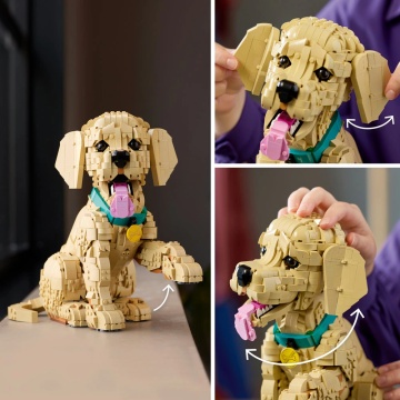 LEGO® Icons - Catelus Golden Retriever 11384, 2102 piese - Img 5