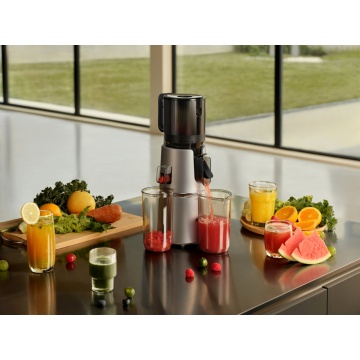 Storcator MOVA SJ10 Slow Juicer cu sistem de presare a fructelor, 200W, Argintiu - Img 21