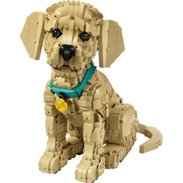 LEGO® Icons - Catelus Golden Retriever 11384, 2102 piese - Img 2