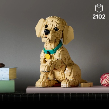 LEGO® Icons - Catelus Golden Retriever 11384, 2102 piese - Img 3