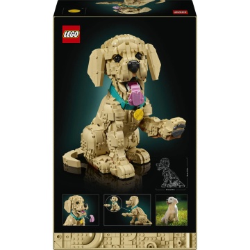 LEGO® Icons - Catelus Golden Retriever 11384, 2102 piese - Img 10