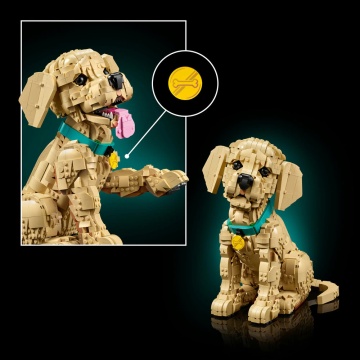 LEGO® Icons - Catelus Golden Retriever 11384, 2102 piese - Img 7