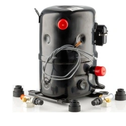 Compresor Tecumseh FH2511Z-XC (fost FH2511Z) congelare 230 V