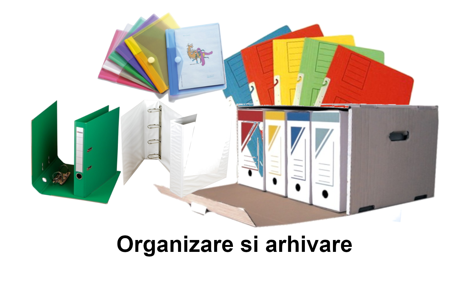 Organizare si arhivare