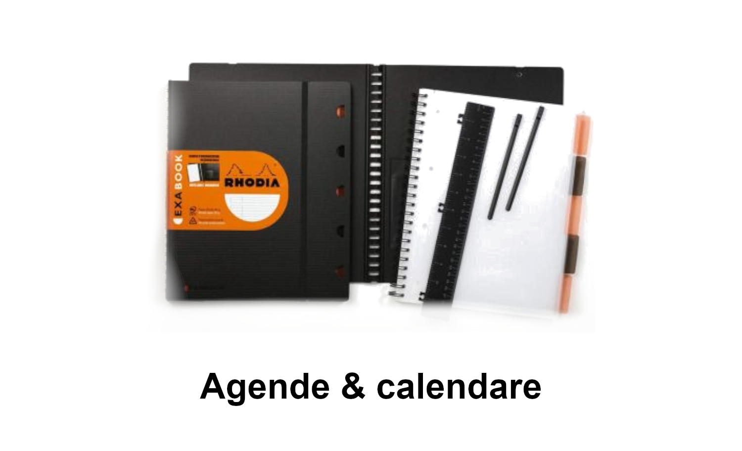 Agende & calendare