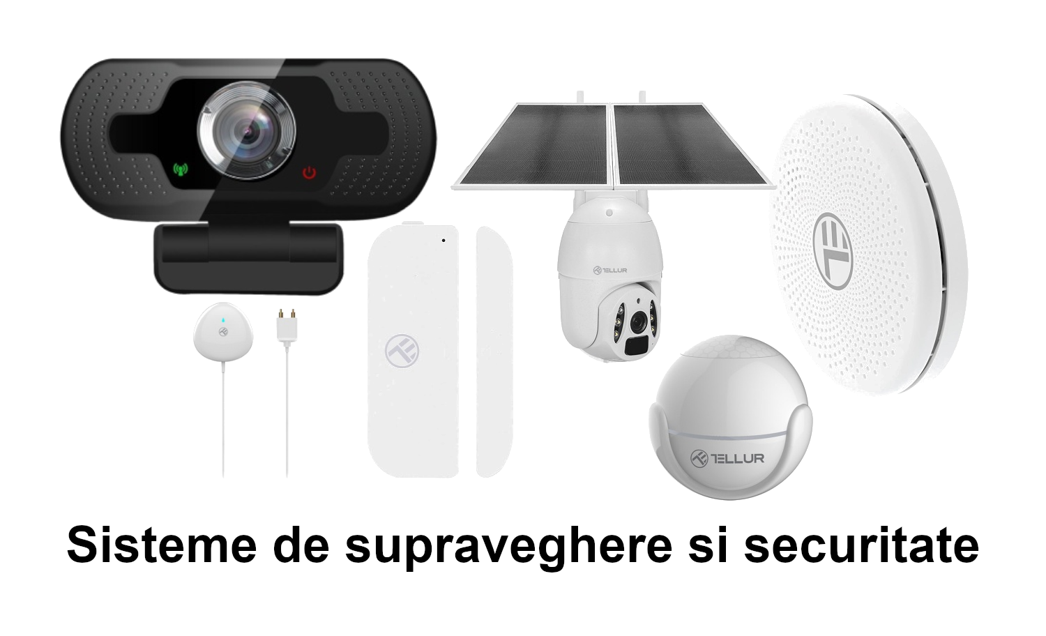 Sisteme de supraveghere si securitate