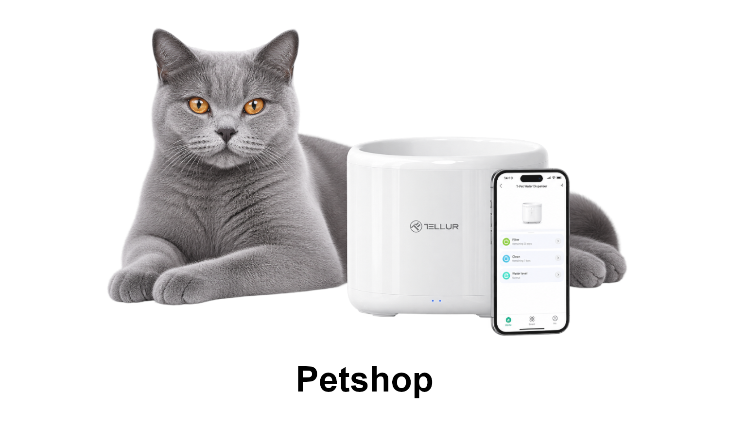 Petshop