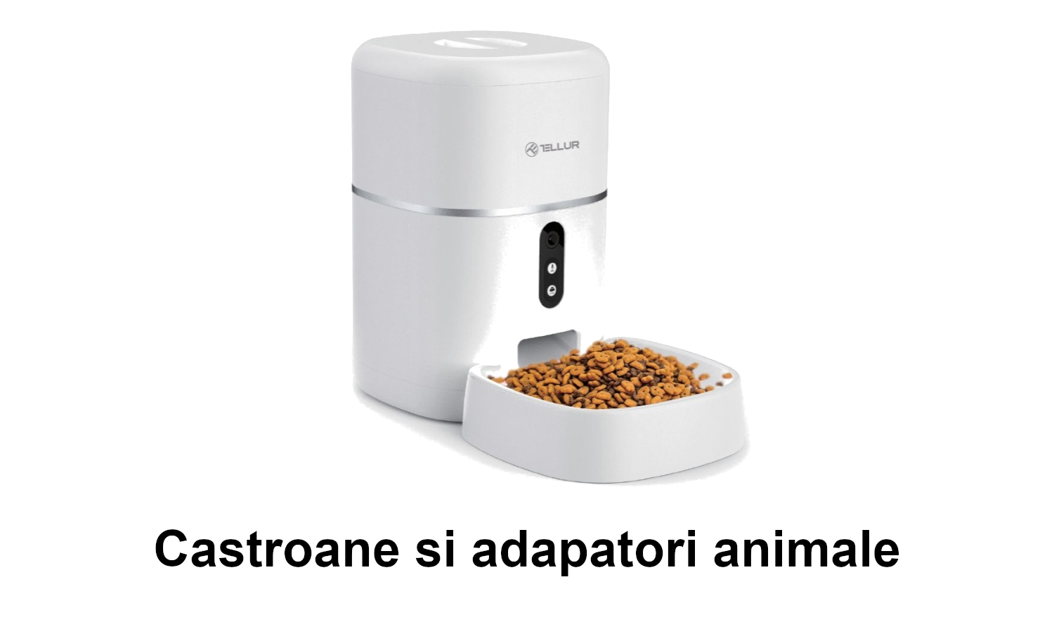 Castroane si adapatori animale