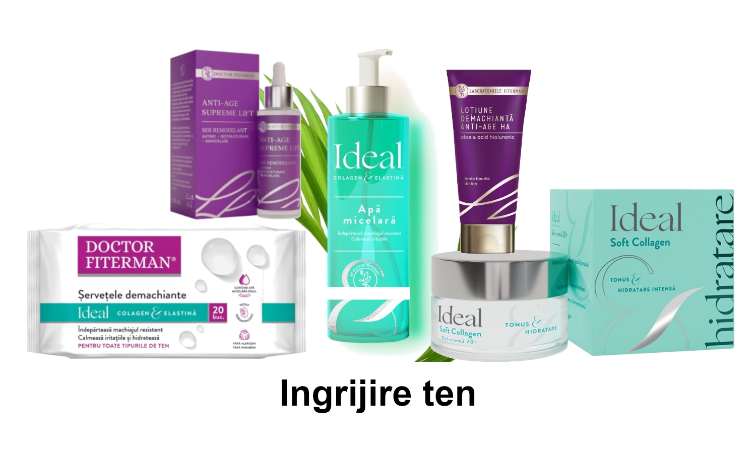 Ingrijire ten