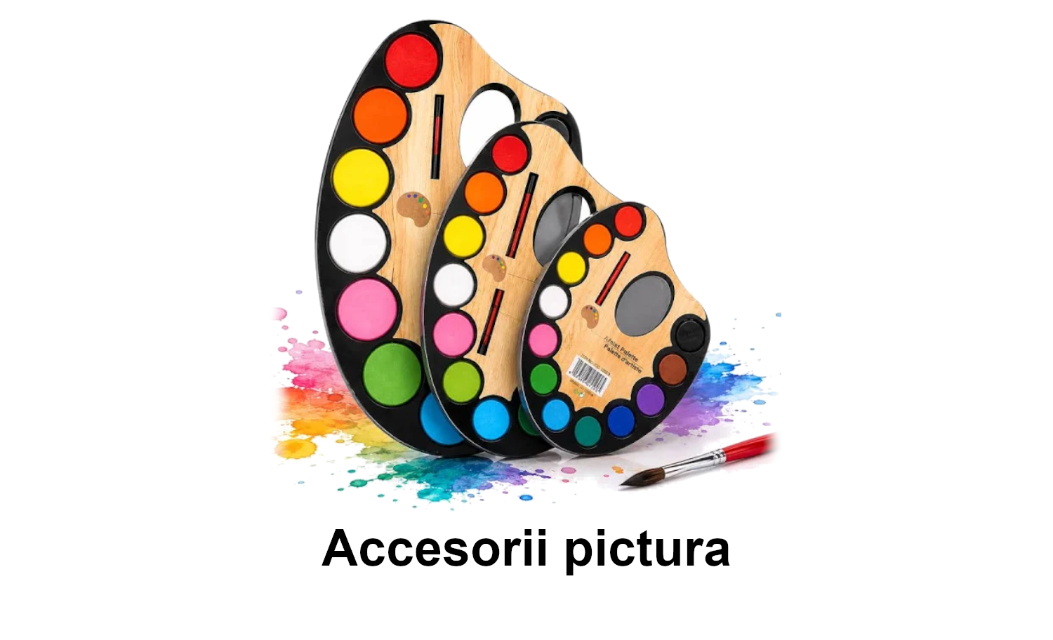 Accesorii pictura