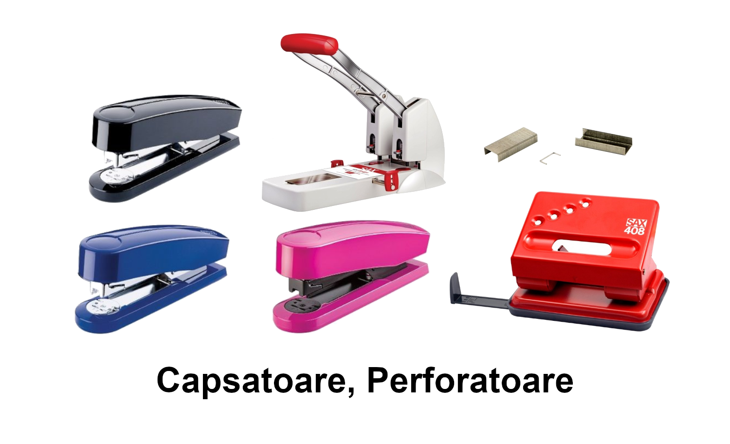 Capsatoare, Perforatoare
