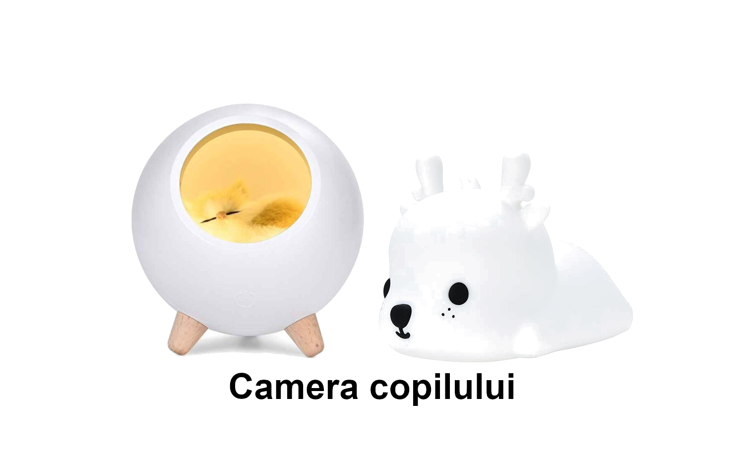 Camera copilului