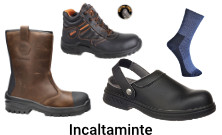 Incaltaminte