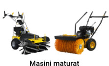 Masini maturat