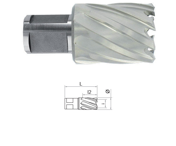 Carota HSS cu prindere Weldon (3/4") lungime 30 mm, DIM 40.0