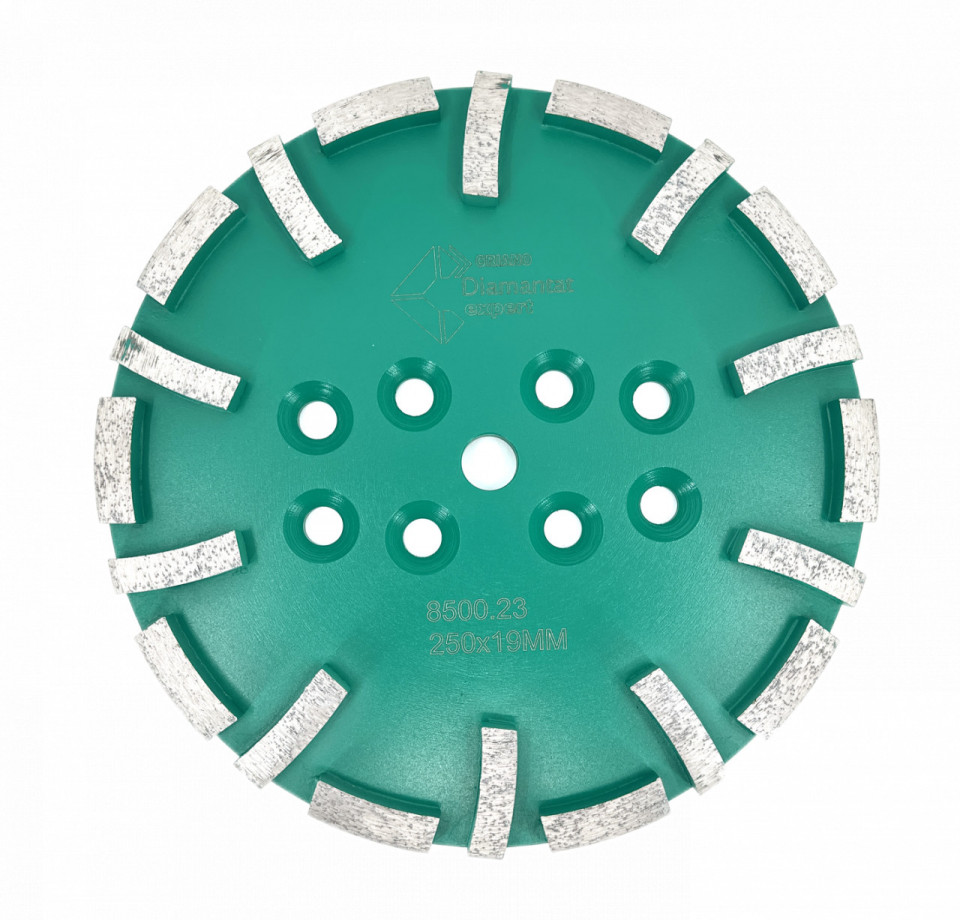 Disc cu segmenti diamantati pt. slefuire pardoseli - segment dur - Verde - 250 mm - prindere 19mm - DXDY.8500.250.23