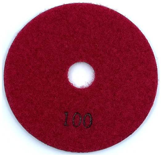 Paduri / dischete diamantate pt. slefuire uscata ECO #100 Ø125mm - DXDY.ECOPAD.125.0100