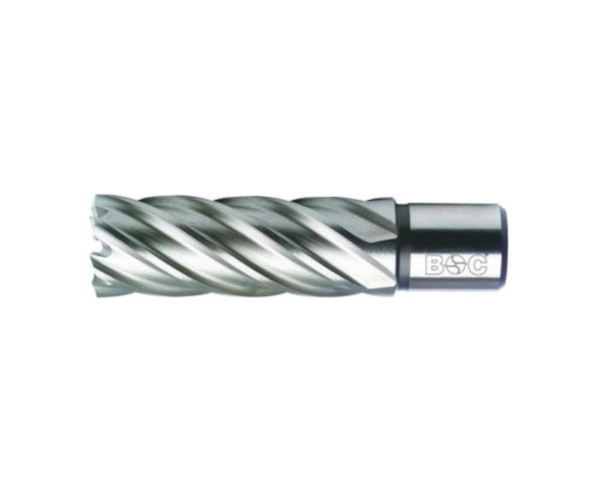 Carota HSS (Co8%) cu prindere Weldon (3/4") lungime 50 mm, DIM 50,0