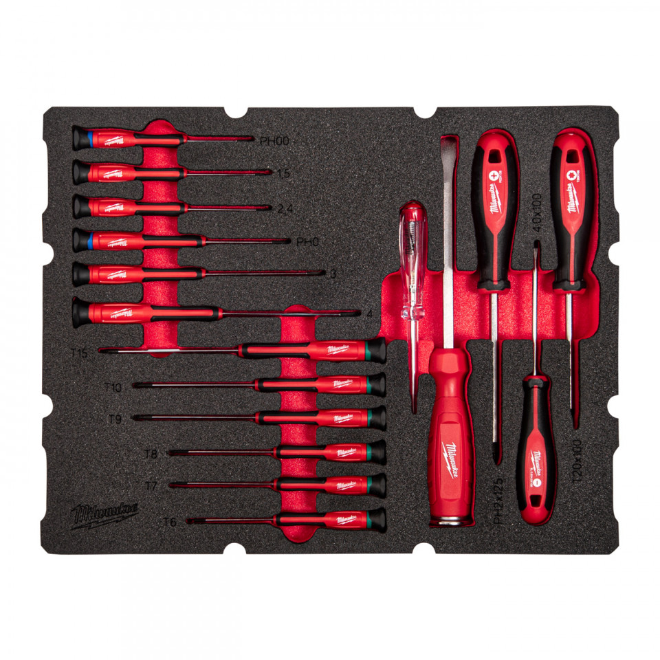 INSERTIE SPUMA PACKOUT CU 17 SURUBELNITE DE PRECIZIE
