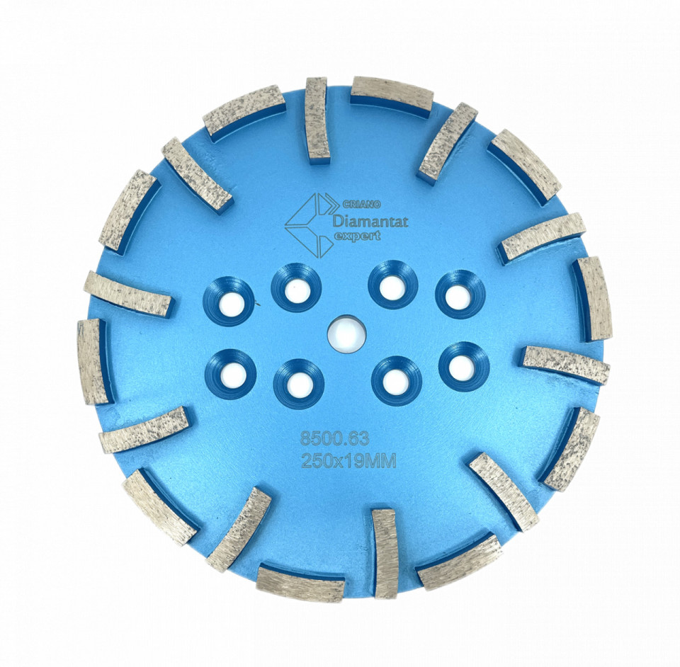 Disc cu segmenti diamantati pt. slefuire pardoseli - segment fin - Albastru - 250 mm - prindere 19mm - DXDY.8500.250.63