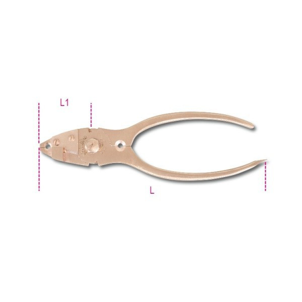Cleste Antiex 1137BA