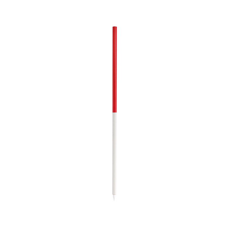 Extensie Jalon de metal 1 m pentru RP2