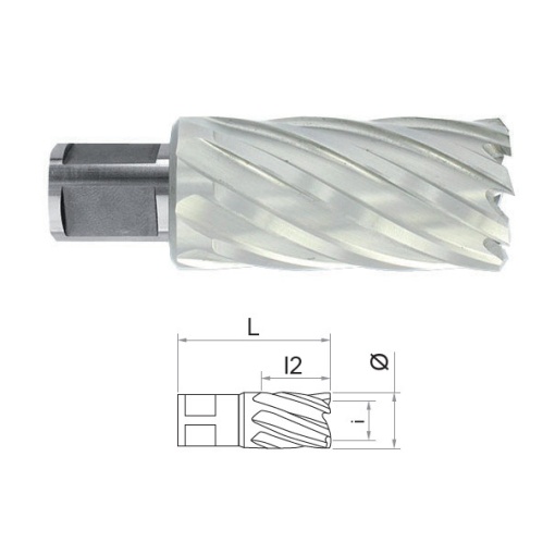Carota HSS cu prindere Weldon (3/4") lungime 50 mm, DIM 26.0