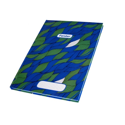 Registru A4 100 file Forster