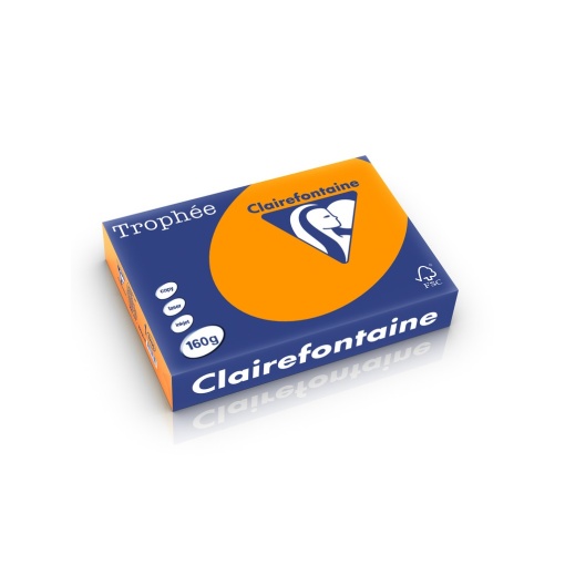 Carton A4 160 g/mp color intens 250 file/top Clairefontaine