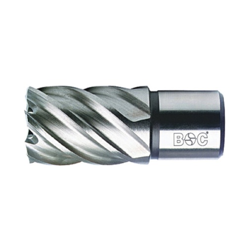 Carota HSS (Co8%) cu prindere Weldon (3/4") lungime 30 mm,DIM 19,0