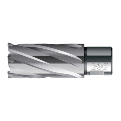 Carota placta HM cu prindere Weldon (3/4") lungime 55 mm, DIM 19,0
