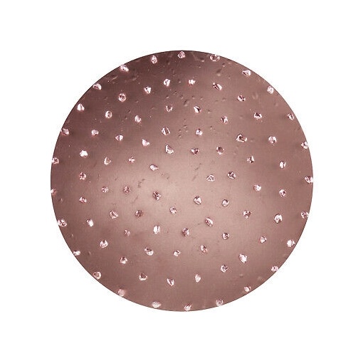 RS Disc abraziv metalic dur pentru Chameleon ROKAMAT (2 buc)