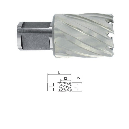 Carota HSS cu prindere Weldon (3/4") lungime 30 mm,DIM 27.0