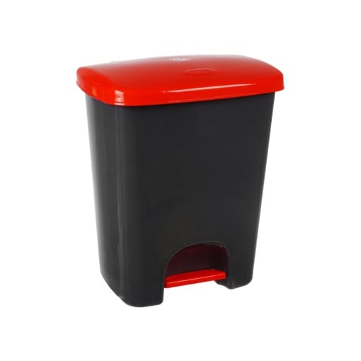 Coș de gunoi reciclare selectivă cu pedală 25 L corp gri capac color