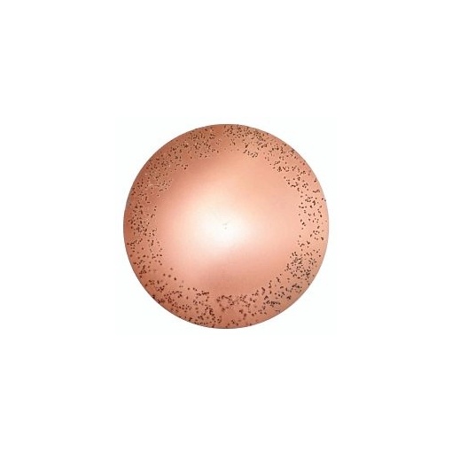 Disc metalic abraziv pentru Chameleon ROKAMAT Ø 200 mm, fin (2 buc)