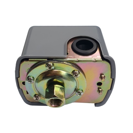 Presostat mecanic Progarden 1.4-4.6 bar, FI 1/4"
