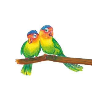 Creioane colorate triunghiulare + ascuțitoare eco Faber-Castell 12 culori/set - Img 2