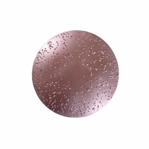 RS Disc metalic abraziv ROKAMAT Ø 200 mm, fin pentru Chameleon (2 buc)