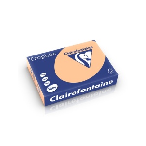 Carton A4 160 g/mp color pal 250 file/top Clairefontaine - Img 8