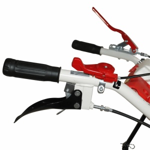 Motocultor BISONTE Agro Garden BTA-1001, 8.5 CP, 223 cc, 5.00-8, cu cover - Img 2