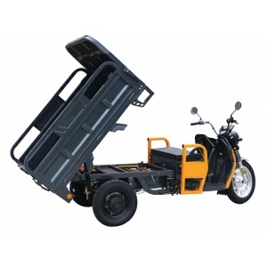 Triciclu Electric Cargo Progarden TRIVO 3000, 25km/h, 72V, 58Ah, incarcator inclus - Img 2
