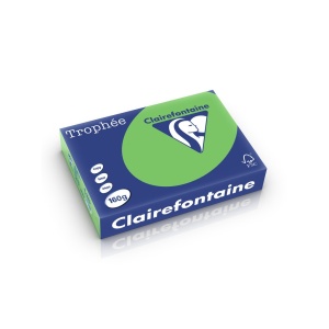 Carton A4 160 g/mp color intens 250 file/top Clairefontaine - Img 11