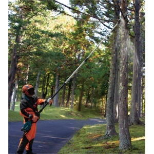 Fierastrau emondor telescopic 3,75 m, XGT 40V, 30 cm, fara acumulator - Img 2