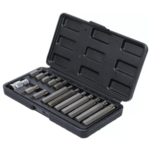 Set 15 varfuri Torx + adaptor 1/2" T20-T55 - Img 4