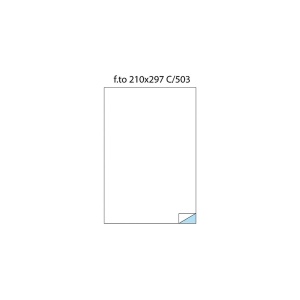 Etichete 1/A4 210 x 297 100/cutie
