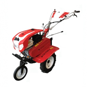 Motocultor BISONTE Agro Garden BTA-750-1 latime de lucru 560 – 830 mm, adancime 300 mm, motor 7cp - Img 2