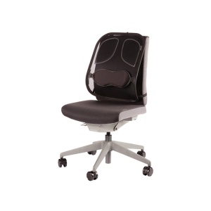 Suport ergonomic pentru spate Professional mesh Fellowes - Img 2