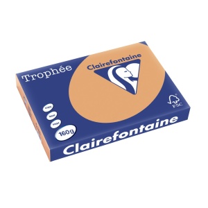 Carton A3 160 g/mp color pal 250/top Clairefontaine - Img 6
