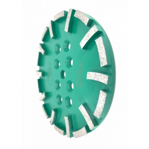 Disc cu segmenti diamantati pt. slefuire pardoseli - segment dur - Verde - 250 mm - prindere 19mm - DXDY.8500.250.23 - Img 2