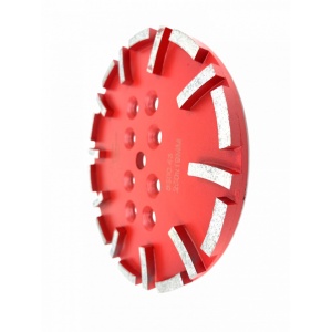 Disc cu segmenti diamantati pt. slefuire pardoseli - segment mediu - Rosu - 250 mm - prindere 19mm - DXDY.8500.250.43 - Img 2